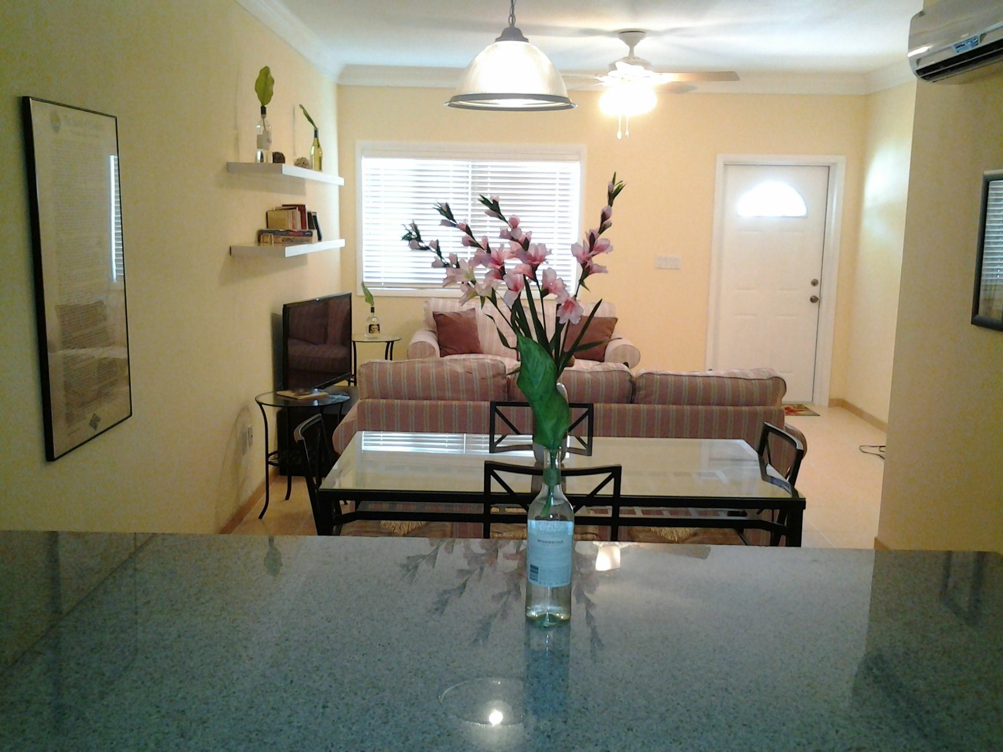Sir Charles Guest House Palmetto Point Extérieur photo